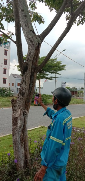 Diệt mối, diệt côn trùng